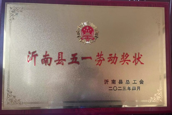 临沂尚恒篷布荣获沂南县五一劳动奖状