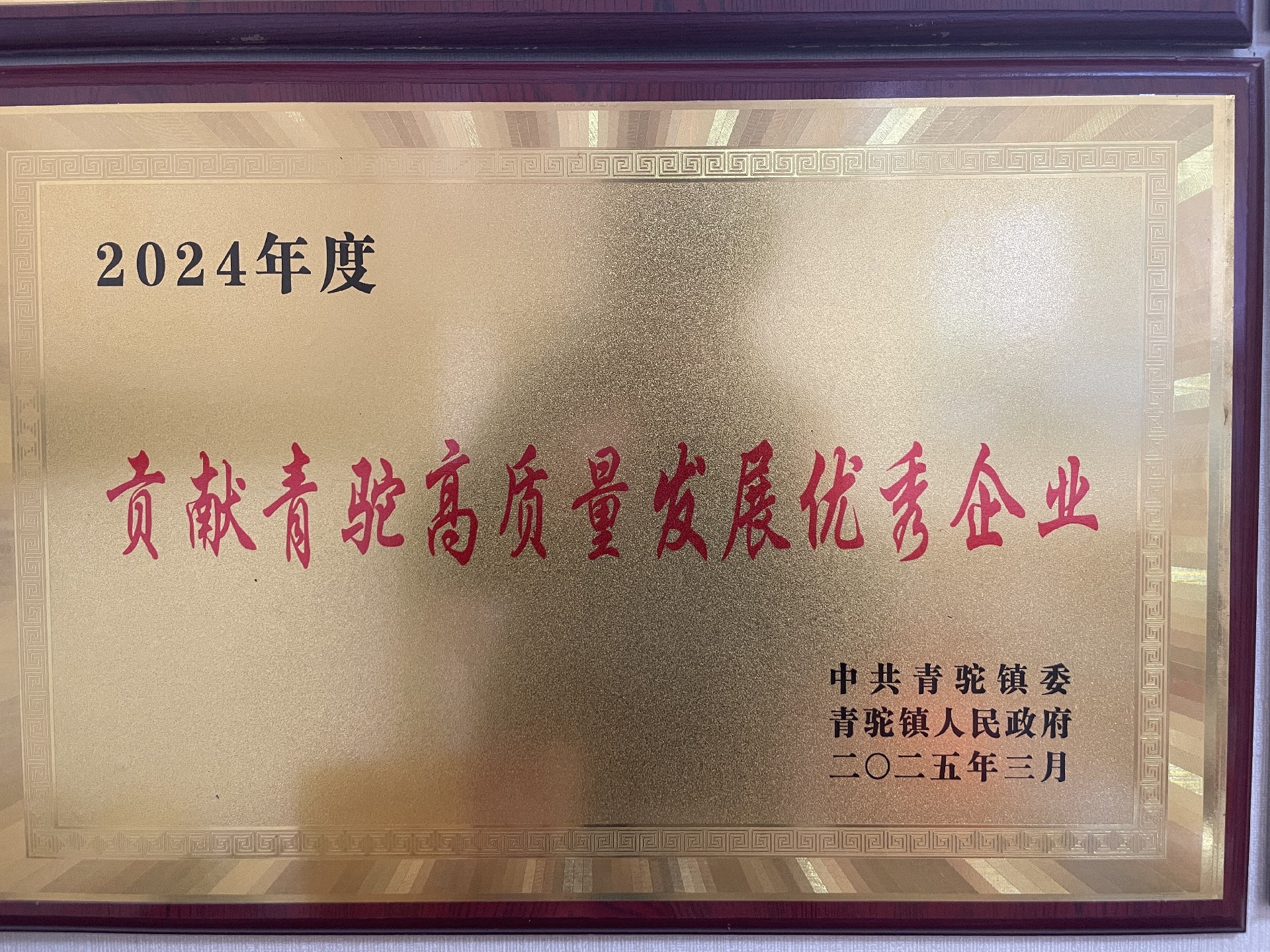 2024年贡献青驼高质量发展优秀企业.jpg