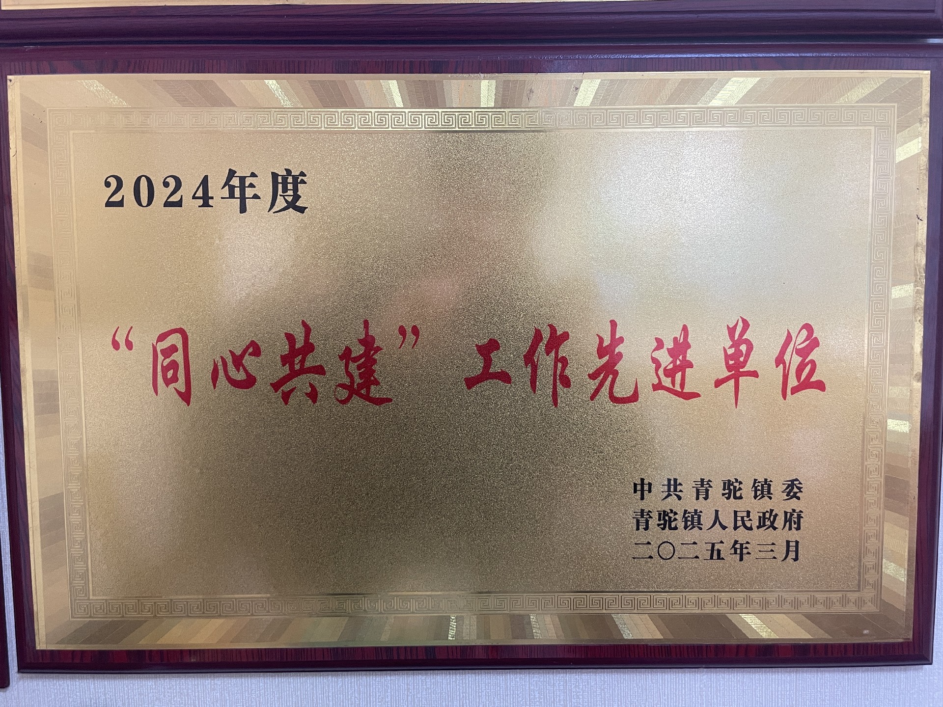 2024年同心共建工作先进单位.jpg